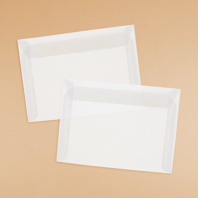 JAM Paper 8.75 x 11.5 Booklet Translucent Vellum Envelopes, Clear, 25/Pack (2851370)