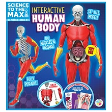 Science to the Max, Plastic, Interactive Human Body, Multicolored (BAT2331)