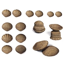 Edx Education Tactile Shells, Set of 36 (CTU15205)