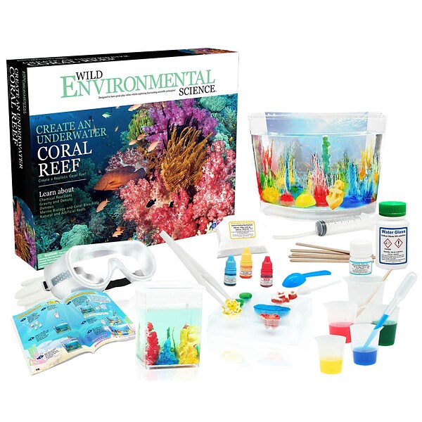 WILD! Science Create an Under Water Coral Reef, Grade 3+ (CTUWES17XL)