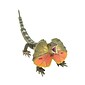 WILD! Science, Assorted Materials, Amazing and Bizarre Lizards of the World, Multicolored (CTUWES949)