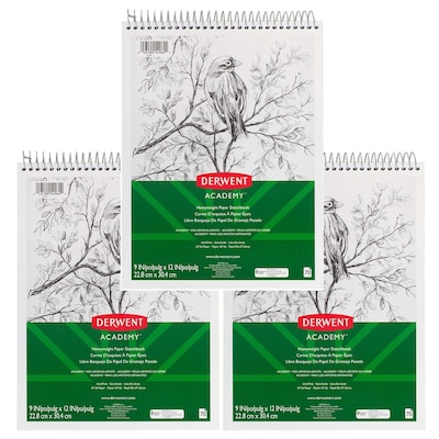 Mead Derwent Academy 9 x 12, Multiple Media Wirebound Sketchbook, 70 Sheets, Pack of 3 (MEA54964-3