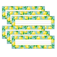 Teacher Created Resources Lemon Zest Flat Name Plates, 11.5 x 3.5, 36 Per Pack, 6 Packs (TCR8482-6
