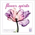 2018 Sellers Publishing, Inc. 12 x 12 Flower Spirits: Radiographs Of Nature By Steven N. Meyers Wall Calendar