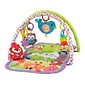 Fisher-Price 3-in-1 Musical Activity Gym, Multicolor (CDN47)