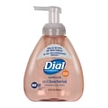 Dial Complete Antibacterial Foaming Soap, 15.2 Oz. (DIA98606)