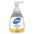 Dial Complete Antibacterial Foaming Hand Soap, Fresh Citrus, 7.5 Oz. (06001)