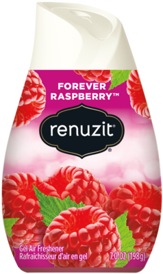 Renuzit Adjustable Cone Solid Air Freshener, Raspberry (DIA03667)