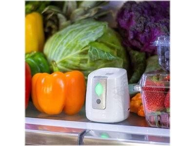 GreenTech Environmental PureAir FRIDGE Ionization Air Purifier, White (1X1374)