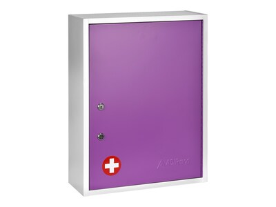 AdirMed Large Steel Medical Medicine Cabinet with Dual Key Lock, 1.16 Cu. Ft. (999-04-PUR)