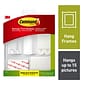 Command Picture Hanging Assortment Kit, White/Clear, 50/Pack (17213-ES)