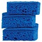 Scotch-Brite® Non-Scratch Scrub Sponge, Blue, 3/Pack (MP-3-8-D)