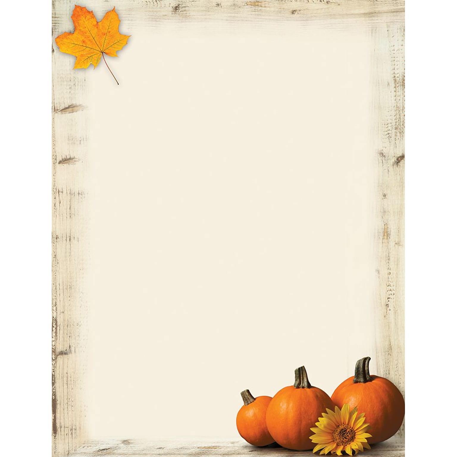 Great Papers!® Holiday Stationery, Pumpkin Sunflower, 8.5 x 11, 80 Sheets (2017014)