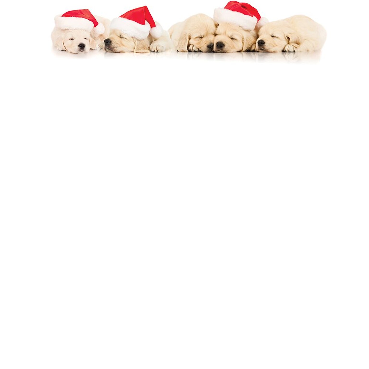Great Papers!® Holiday Stationery, Santa Puppies, 8.5 x 11, 80 Sheets (2017018)