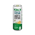 Bubblr Antioxidant Lemon Lime Twistr Flavored Sparkling Water, 12 fl. oz., 12 Cans/Carton (0284356