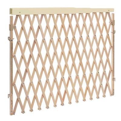 Evenflo Expansion Walk-Thru Room Divider Baby Gate (1602100)