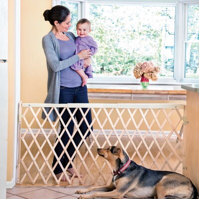 Evenflo Expansion Walk-Thru Room Divider Baby Gate (1602100)