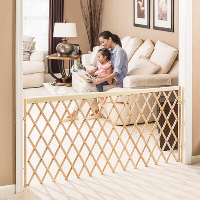 Evenflo Expansion Walk-Thru Room Divider Baby Gate (1602100)