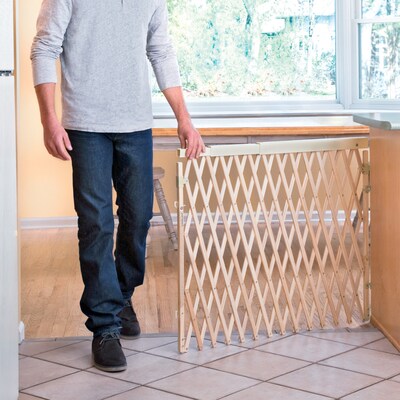 Evenflo Expansion Walk-Thru Room Divider Baby Gate (1602100)