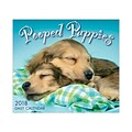 2018 Sellers Publishing, Inc. 5 x 6 Pooped Puppies Boxed Daily Calendar