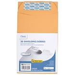 Mead Press-It Seal-It Envelopes, 6 x 9, Brown Kraft, Office Pack 30 Count (76084)