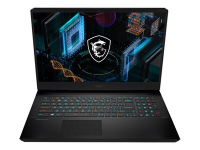 MSI GP76 11UG 076 Leopard 17.3 Laptop, Intel i7, 16GB Memory, 1TB SSD, Windows 10 (GP76076)