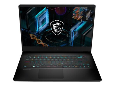 MSI GP66 11UG 050 Leopard 15.6 Laptop, Intel i7, 16GB Memory, 512GB SSD, Windows 10 (GP66050)