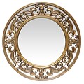 Infinity Instruments 23.5 Round Wall Mirror, Brushed Gold Finish  (15368GD)