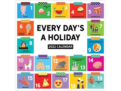 2022 TF Publishing 12 x 12 Monthly Calendar, Every Days A Holiday, Multicolor (22-1114)