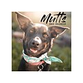 2022 TF Publishing 12 x 12 Monthly Calendar, Mutts, Multicolor (22-1091)
