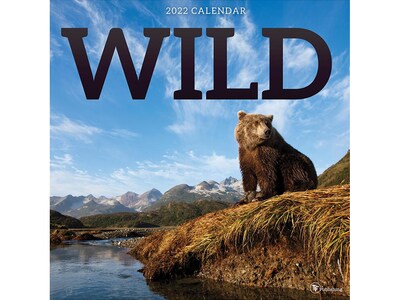 2022 TF Publishing 12 x 12 Monthly Calendar, Wild, Multicolor (22-1120)