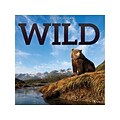 2022 TF Publishing 12 x 12 Monthly Calendar, Wild, Multicolor (22-1120)