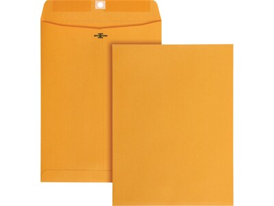 Quality Park Document Envelope, 9" x 12", Brown Kraft, 100/Box, 5 Boxes/Carton (QUA37890CT)