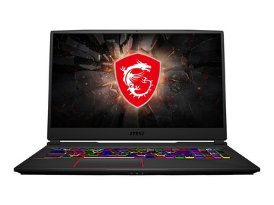 MSI GE75 10SFS 477 Raider 17.3 Laptop, Intel i7, 32GB Memory, 512GB SSD + 1TB Hard Drive, Windows 10 (GE75477)