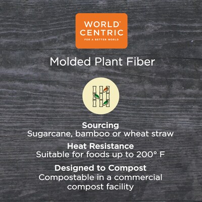 World Centric Fiber Trays, 9.1 x 7.1 x 0.7, Natural, 500/Carton