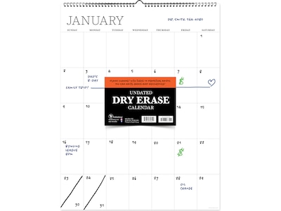 TF Publishing 22 x 17 Monthly Dry Erase Wall Calendar, White (99-1150)