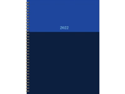 2022 TF Publishing 8.5 x 11 Weekly & Monthly Planner, Blue Blockers (22-9708)