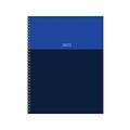 2022 TF Publishing 8.5 x 11 Weekly & Monthly Planner, Blue Blockers (22-9708)