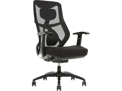 Beautyrest Duo-EX Ergonomic Mesh Swivel Task Chair, Black/Gray (60051GRY)