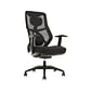 Beautyrest Duo-EX Ergonomic Mesh Swivel Task Chair, Black/Gray (60051GRY)