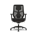 Beautyrest Duo-EX Ergonomic Mesh Swivel Task Chair, Black/Gray (60051GRY)