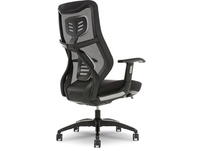 Beautyrest Duo-EX Ergonomic Mesh Swivel Task Chair, Black/Gray (60051GRY)