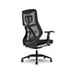 Beautyrest Duo-EX Ergonomic Mesh Swivel Task Chair, Black/Gray (60051GRY)