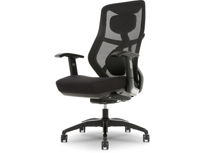 Beautyrest Duo-EX Ergonomic Mesh Swivel Task Chair, Black/Gray (60051GRY)