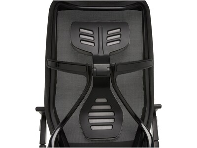 Beautyrest Duo-EX Ergonomic Mesh Swivel Task Chair, Black/Gray (60051GRY)