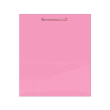 Amscan Gift Bags, Solid, New Pink, 10/Pack (47065.109)