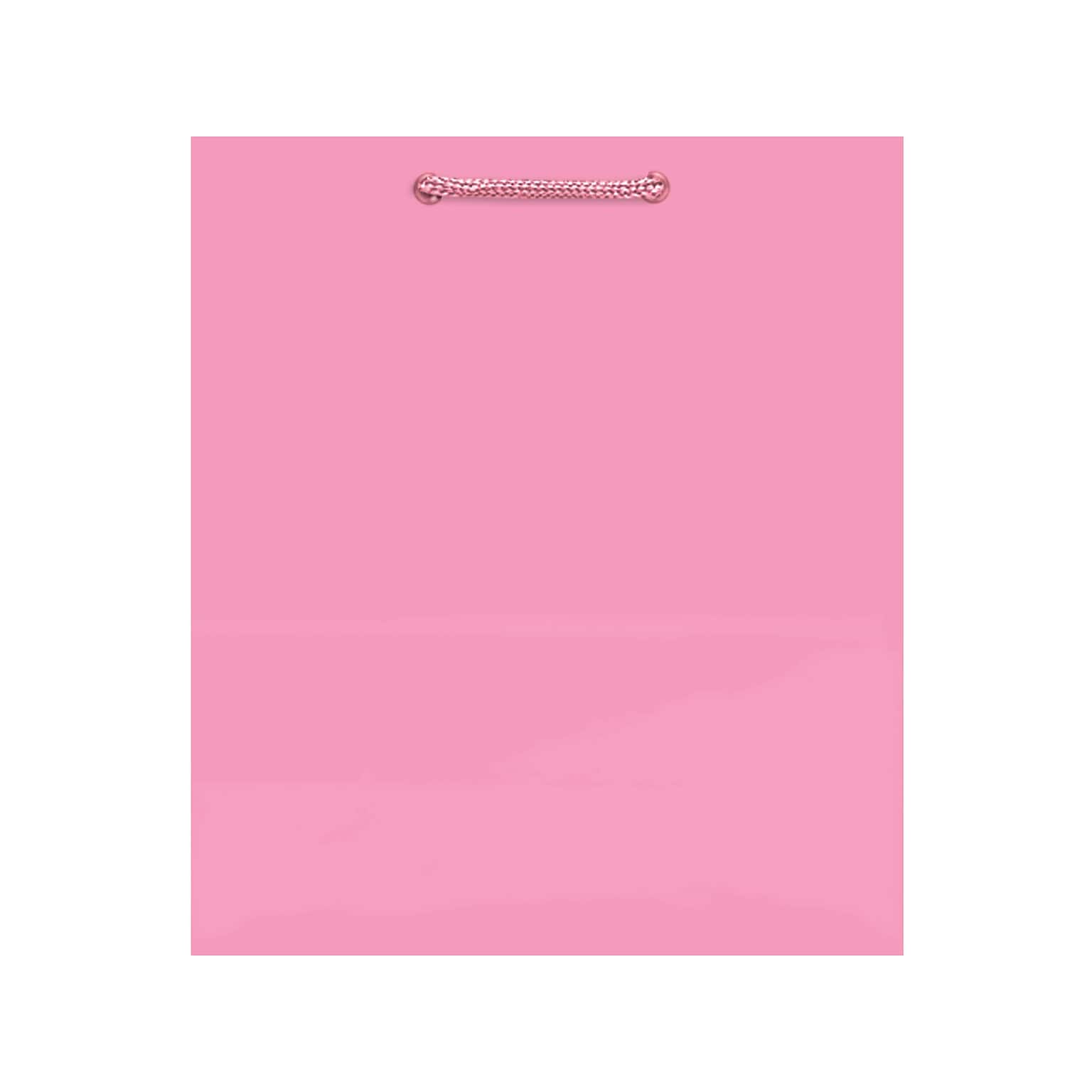 Amscan Glossy Paper Gift Bag, 9.5 x 8, New Pink, 10 Bags/Pack (47065.109)