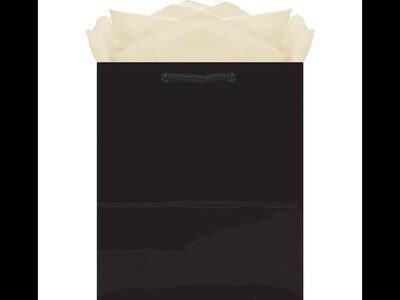 Amscan Solid Gift Bag, Jet Black, 10 Bags/Pack (47065.10)