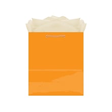 Amscan Gift Bag, Glossy, Orange Peel, 10/Pack (47065.05)