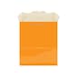Amscan Glossy Paper Gift Bag, 9.5" x 8", Orange Peel, 10 Bags/Pack (47065.05)